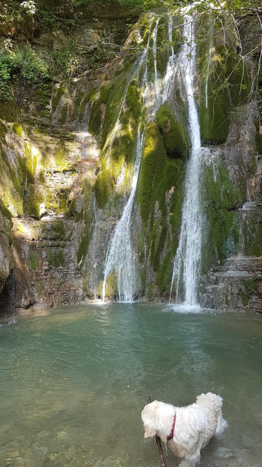 Alloggio Petrigh Canal di Grivo Екстер'єр фото